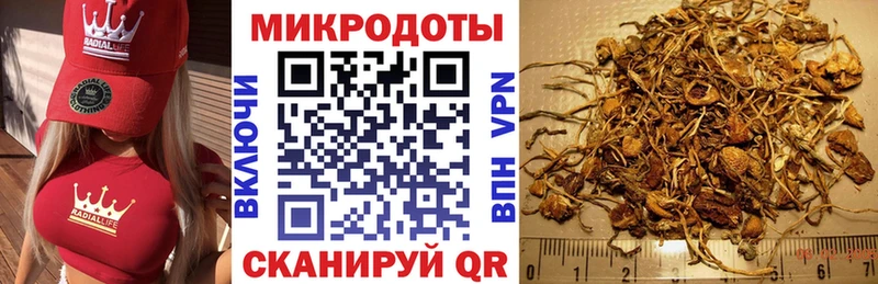 Галлюциногенные грибы мицелий  Купить  Горняк 